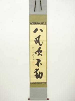 前大徳　藤井誡堂筆　「八風吹不動」　一行書　紙本肉筆掛軸